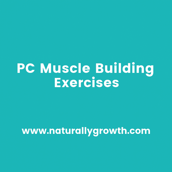 Pc Muscle Building